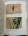 Philip S. Corbet, Cynthia Longfield & N. W. Moore - Dragonflies, with Key to Larvae by A.E. Gardner.