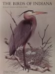 Mumford, Russel E. / Keller. Charles E. / Zimmerman. William. (ill.) - The Birds of Indiana