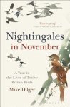 Dilger, Mike - Nightingales in November