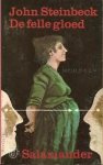 Steinbeck, John - De felle gloed