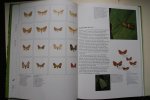 Donk, Martin van der; Gerwen, Teo van - A. van der Donk: DE WONDERWERELD VAN DE INSEKTEN (INSECTEN) De wonderwereld van de Insekten ( over vlinders, libellen, waterinsekten, wantsen ,snavelinsekten, hommels, bijen, bladwespen, kevers )