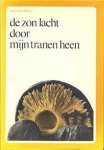 Verdelman - De zon lacht door mijn tranen heen