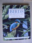 Birds  an artists view - Terance James Bond