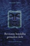 Alexander Zollner - Bevroren Boeddha Gesmolten Licht