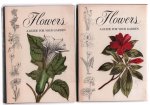 Ippolito Pizzetti - Flowers: a guide for your garden