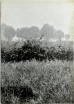 Günther Uecker, Jef Verheyen, Gerald Dauphin - Flämische Landschaft / Vlaamse Landschappen
