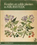 Bengtsson, Gerda. - Planten en vruchten in kruissteek .. De teltekening en kleurcodering van de gebruikte garens welke bij ieder ontwerp staan afgebeeld zullen uop uw beurt inspireren tot het maken van werkstukken in deze geliefde borduurtechniek.