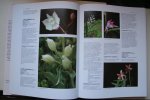 A. Pridgeon ; Morrison, Alasdair - Illustrated Encyclopedia of Orchids  over 1100 species illustrated and identified