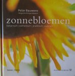 Bauwens.Peter - Zonnebloemen