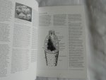 Rhebergen, Freek  - Römer J H, Anderson W F, e.a. - Ordovicische zwerfsteensponzen. Staringia 9 --- Grondboor en hamer Tijdschrift Nederlandse Geologische Vereniging . jaargang 55 nummer 1