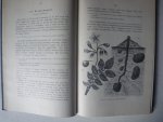 HORN, D. , GAST, S. de - Beginselen der plantkunde vooral ten dienste van Candidaat-Onderwijzers, H.B.S. met 3-j. C., Gymnasia en de onderste klassen van de H.B.S. met 5-j. C