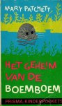 Patchett, Mary - Het geheim van de boemboem