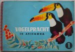 Wigman, A.B. Illustrator : Burg, v.d. Kees - Vogelpracht in Avifauna Deel 1 (compleet)