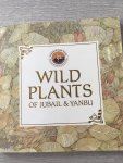  - Wild plants of Jubail & Yanbu, their General Characreristics And Uses