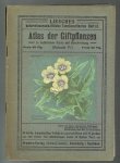  - Atlas der Giftpflanzen, Liesches naturwissenschaftliche Taschenatlanten Heft 13 in Leporelloform