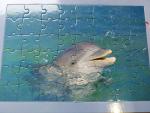  - Leren met Puzzels: Dolfijnen