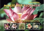 E. Sawada - Magie Der Bloemen