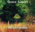 Redactie Remco Ekkers en Antoine van Maesen - Groen Juweel    Westerwolde  foto boek met  Gedichten