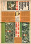 Diverse  tekenaars - PEP 1968 nr. 06, stripweekblad, 10 februari 1968 met o.a. DIVERSE STRIPS (BLUEBERRY/TOENGA//RIK RINGERS/MICK TANGY/LUCKY LUKE/ASTERIX )RIK RINGERS(COVER)/ARENDSOOG STRIP (P. NOWEE & KHING)/MANCHESTER UNITED (1,5 p.)/ROLLING STONES (2 p.)