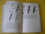 Porter, R.F, e.o. - Flight identification of European raptors.