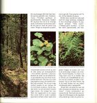 Knauth Percy  & met schitterende foto's en illustraties & vertaling van M.J. Daan - Stiemens & Dick Hillenius en Susan Rayfield - De Canadese wouden .. Uit de serie : De wereld der woeste natuur.