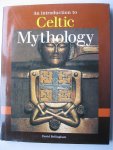 David Bellingham - An introduction to Celtic Mythology
