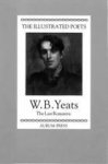 Yeats, W.B.         Porter, Peter (selected and  introduction) - The Illustrated Poets W. B. Yeats: The Last Romantic