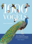 Sarah Hoggett - 1000 vogels een uniek en rijk geïllustreerd overzicht van duizend vogelsoorten