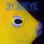 Wendy Hoevenaars - Eye2Eye