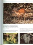 Mountain Alan Tekst  en Foto grafie van Lex Hes  .. Vertaling en bewerking : Drs Herman J.V. van den Bijtel - Ongerept Zuid Afrika .. De biologische diversiteit van Zuid-Afrika  .. met prachtige foto's een boek om uren in te grasduinen
