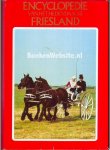Abma, G. - Encyclopedie van het hedendaagse Friesland 1