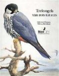 Erik van Ommen & Wilma Brinkhof & Ans Smink - Trekvogels van rots tot rots