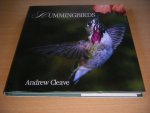 Andrew Cleave - Hummingbirds