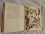Barbara Everard - Brian D Morley; B. Everard - WILD FLOWERS of the World