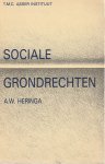 Pieters, D. - Sociale grondrechten op prestaties in de grondwetten van de landen van de Europ ese Gemeenschap. Diss.