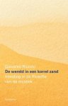 Giovanni Rizzuto - De wereld in een korrel zand - Inleiding in de filosofie van de mystiek