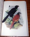 Cooper, William T. & Forshaw, Joseph, M. - The birds of paradise and bower birds