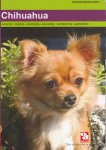 Over Dieren - Chihuahua / Over Dieren / 136