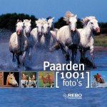 M. Rudel, Michel Viard - Paarden