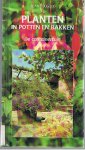 Toogood, Alan - Planten in potten en bakken - de containertuin