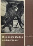 Arn-Willi, Hans - Biologische Studien am Alpensegler