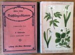 Schuhmacher, H. - Bilder-Atlas der Frühlingsblumen. 173 farbige Abbildungen nach der Natur auf 40 Tafeln
