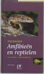 T. Stumpel & Henk Strijbosch - Veldgids 20 - Veldgids Amfibieen en reptielen