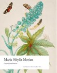 Catherine Powell-Warren - Maria Sibylla Merian