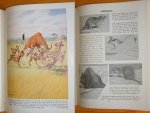 Burton, M. (illustrations: Neave Parker) - Mammals - Wonderful World of Nature  Eight full colour plated
