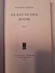 Gysen - Kat in den boom