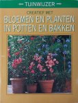 Karlheinz Jacobi - Creatief met bloemen en planten in potten en bakken - Karlheinz Jacobi