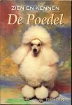 Dibb, Pierre bewerking T. Dijkhof .. Vertaling Buro van Wessem - De Poedel