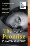 Damon Galgut - (1) The Promise