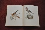 Sepp en Nozeman - Nederlandsche Vogelen 1770 - 1829. Zestien reproducties in kleur naar de fraaiste voorbeelden met een inleiding van Dr. A. Schierbeek Sepp en Nozeman - Nederlandsche Vogelen 1770 - 1829. Zestien reproducties in kleur naar de fraaiste voorbeelden met een inleiding van Dr. A. Schierbeek